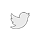 icons white twitter1a